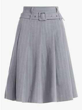 Scoop Women's Pleated Pinstripe Midi Skirt